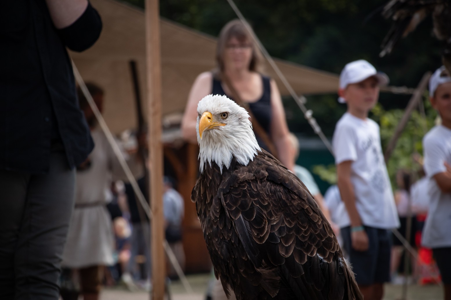 LWL | Römertage - LWL-Römermuseum Haltern am See