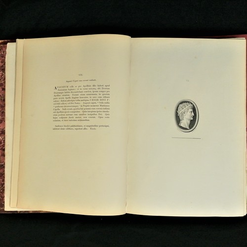 Katalog des Duke von Marlborough von 1845